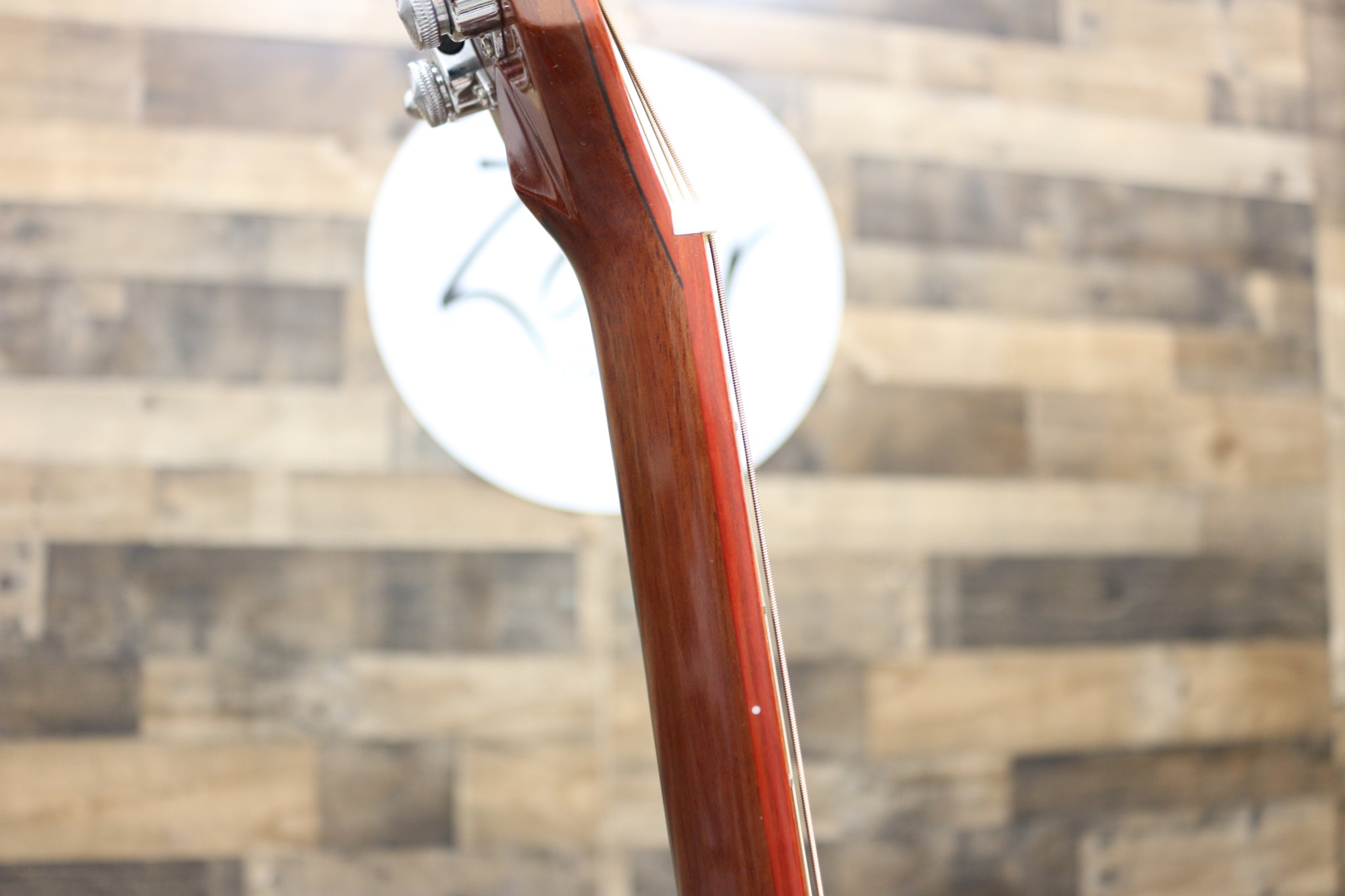 Zaar with Scars - Z420E (241)