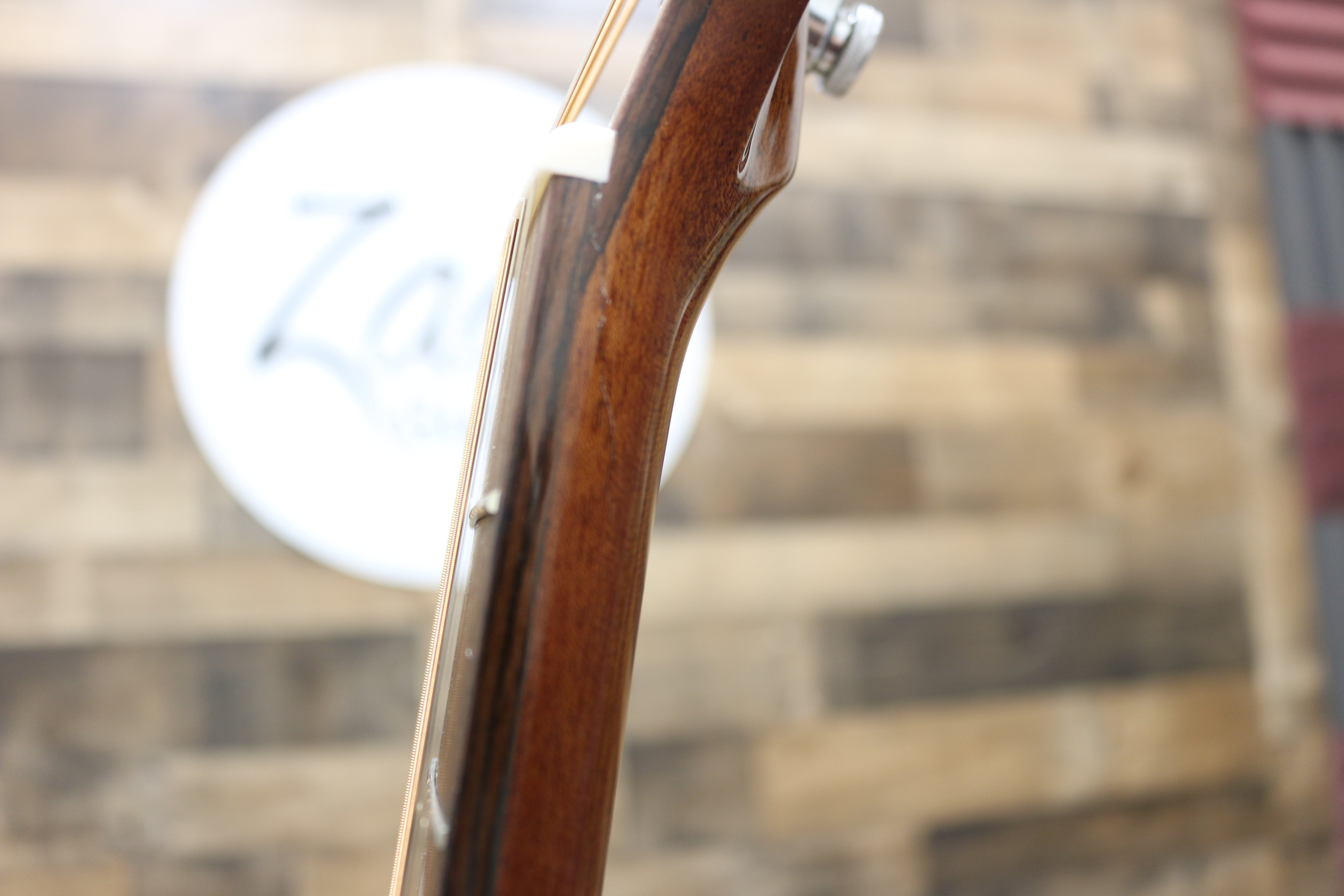 Zaar with Scars - Z690E (#204)