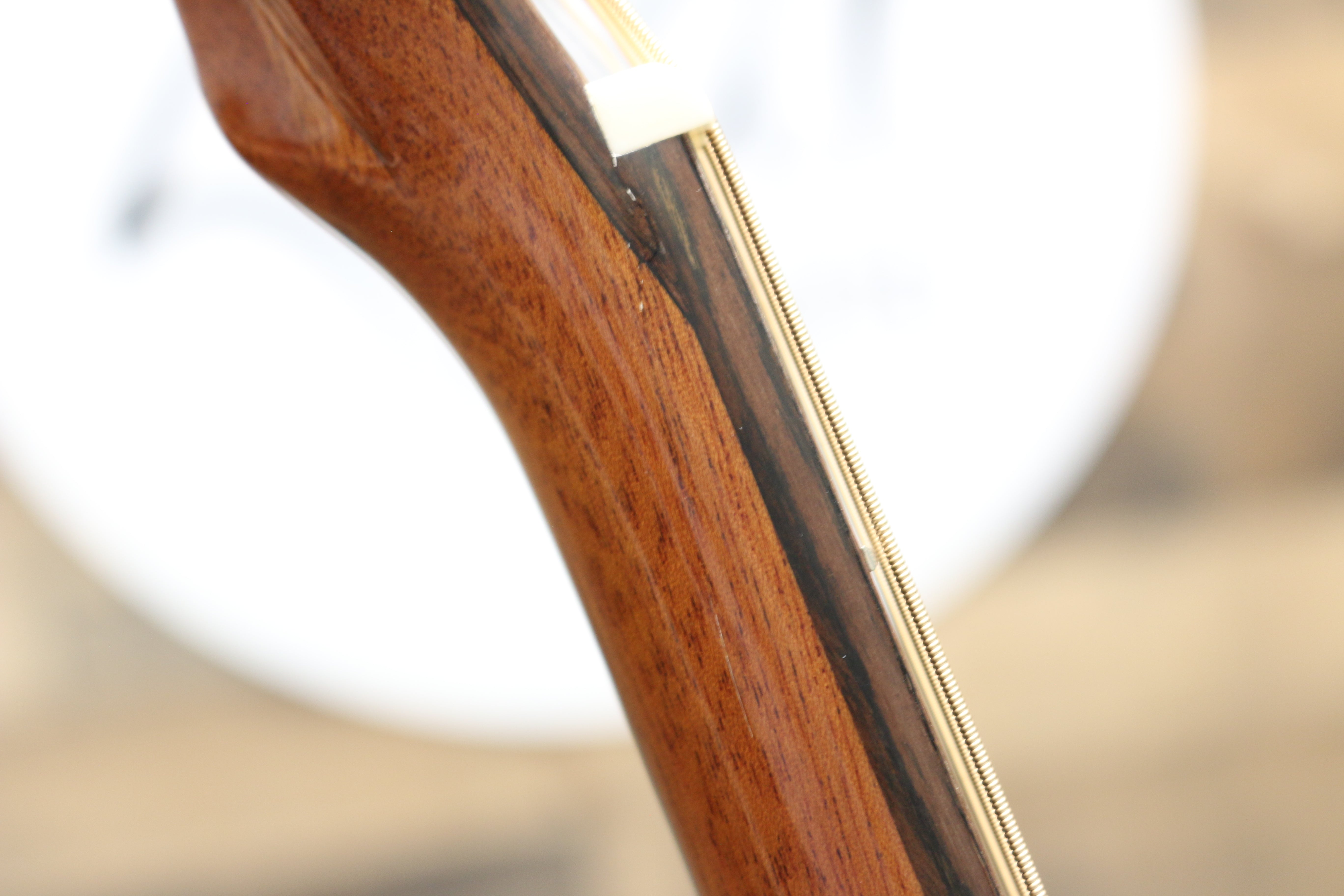 Zaar with Scars - Z690E (#208)