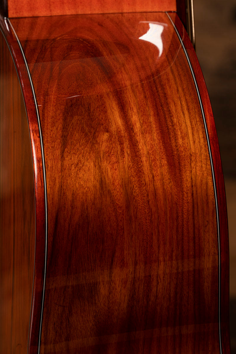 Z420 - Santos Rosewood Acoustic